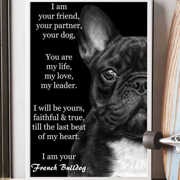 I Am Your Friend Your Partner Your Dog - I Am Your French Bulldog Quote Posters-2